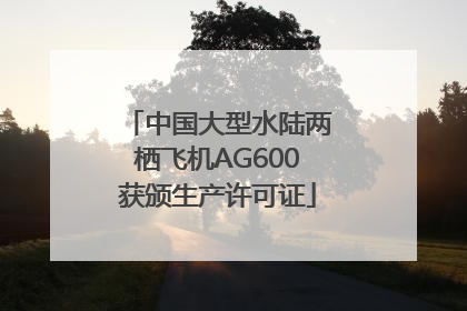 中国大型水陆两栖飞机AG600获颁生产许可证
