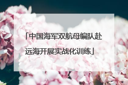 中国海军双航母编队赴远海开展实战化训练