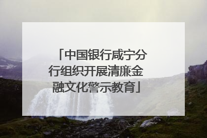 中国银行咸宁分行组织开展清廉金融文化警示教育