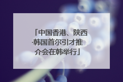 中国香港、陕西·韩国首尔引才推介会在韩举行