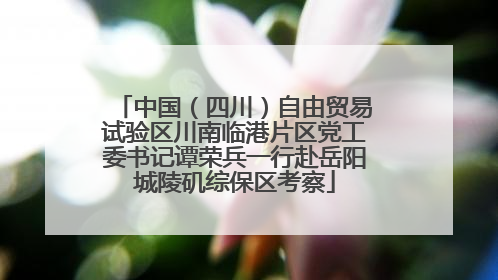 中国（四川）自由贸易试验区川南临港片区党工委书记谭荣兵一行赴岳阳城陵矶综保区考察