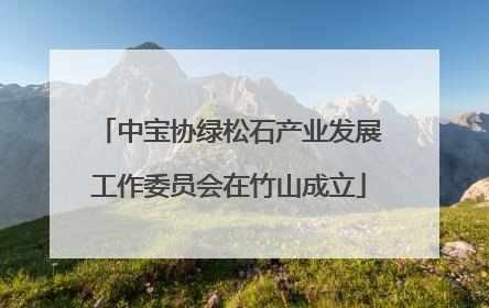 中宝协绿松石产业发展工作委员会在竹山成立