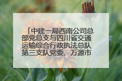 中建一局西南公司总部党总支与四川省交通运输综合行政执法总队第三支队党委、万源市草坝镇莲花院村党支部开展党建联建