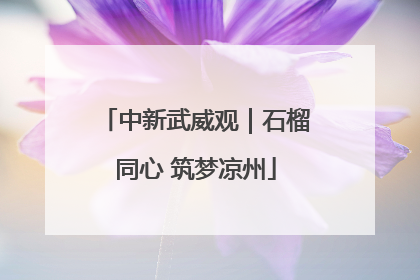 中新武威观｜石榴同心 筑梦凉州