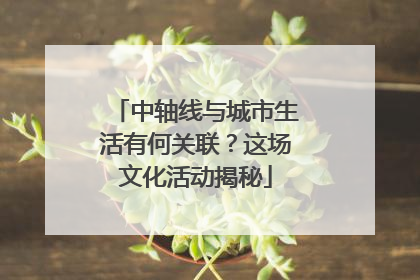 中轴线与城市生活有何关联？这场文化活动揭秘