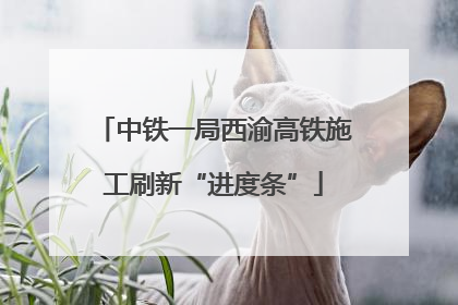 中铁一局西渝高铁施工刷新“进度条”