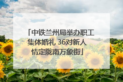 中铁兰州局举办职工集体婚礼 36对新人情定陇南万象街
