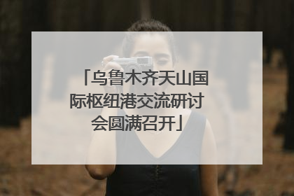 乌鲁木齐天山国际枢纽港交流研讨会圆满召开