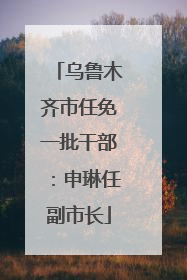 乌鲁木齐市任免一批干部：申琳任副市长