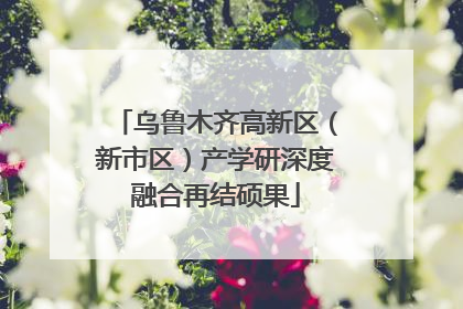 乌鲁木齐高新区（新市区）产学研深度融合再结硕果