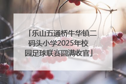 乐山五通桥牛华镇二码头小学2025年校园足球联赛圆满收官