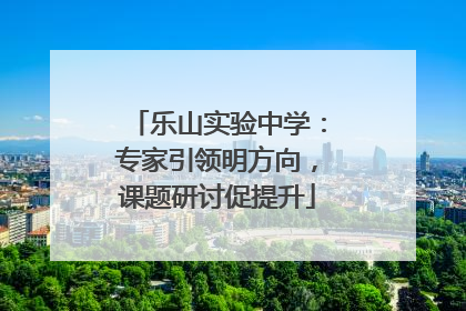 乐山实验中学：专家引领明方向，课题研讨促提升