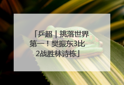 乒超｜挑落世界第一！樊振东3比2战胜林诗栋