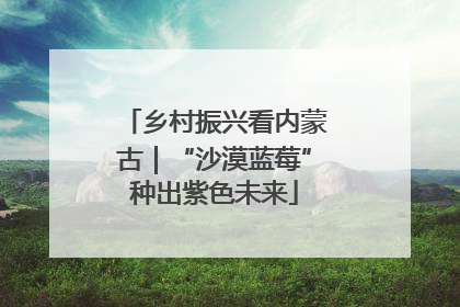乡村振兴看内蒙古｜“沙漠蓝莓”种出紫色未来