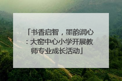 书香启智，墨韵润心：大窑中心小学开展教师专业成长活动