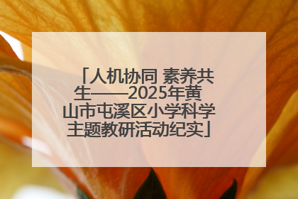 人机协同 素养共生——2025年黄山市屯溪区小学科学主题教研活动纪实