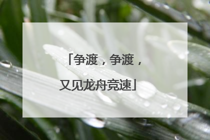 争渡，争渡，又见龙舟竞速