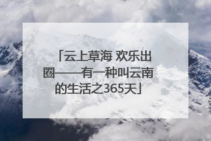 云上草海 欢乐出圈——有一种叫云南的生活之365天