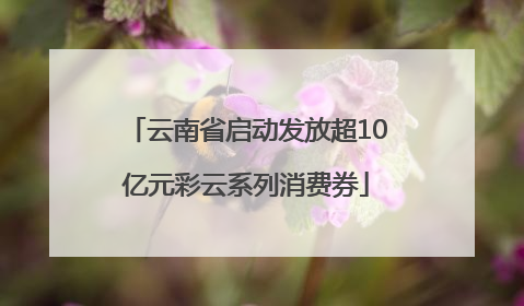 云南省启动发放超10亿元彩云系列消费券