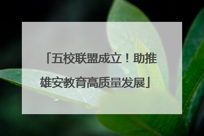 五校联盟成立！助推雄安教育高质量发展