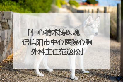 仁心精术铸医魂——记信阳市中心医院心胸外科主任范逸松
