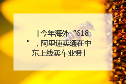 今年海外“618”，阿里速卖通在中东上线卖车业务