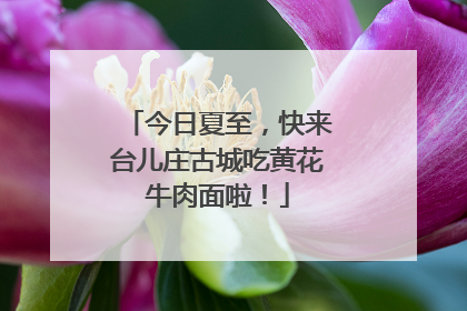 今日夏至，快来台儿庄古城吃黄花牛肉面啦！
