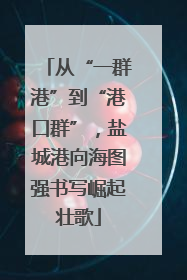 从“一群港”到“港口群”，盐城港向海图强书写崛起壮歌