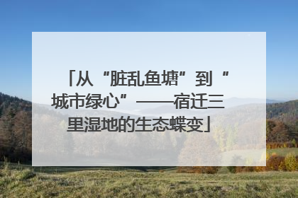 从“脏乱鱼塘”到“城市绿心”——宿迁三里湿地的生态蝶变