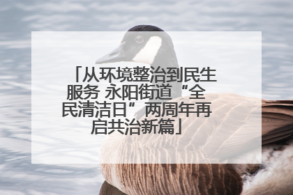 从环境整治到民生服务 永阳街道“全民清洁日”两周年再启共治新篇