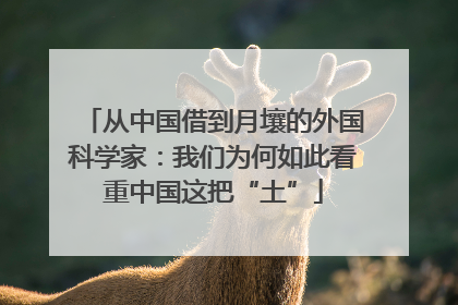 从中国借到月壤的外国科学家：我们为何如此看重中国这把“土”