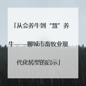 从会养牛到“慧”养牛——聊城市畜牧业现代化转型的启示