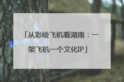 从彩绘飞机看湖南：一架飞机一个文化IP
