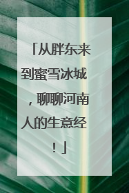 从胖东来到蜜雪冰城，聊聊河南人的生意经！