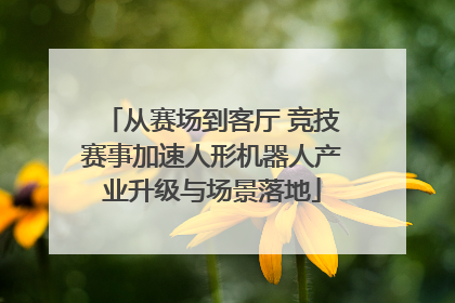 从赛场到客厅 竞技赛事加速人形机器人产业升级与场景落地