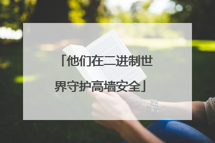 他们在二进制世界守护高墙安全