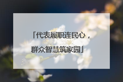代表履职连民心，群众智慧筑家园