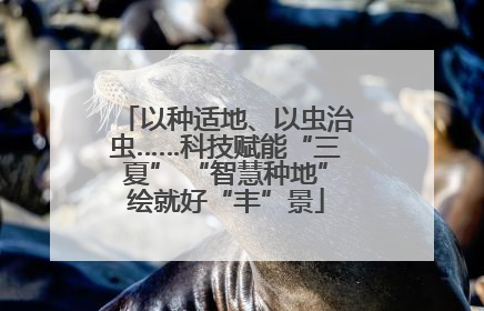 以种适地、以虫治虫……科技赋能“三夏” “智慧种地”绘就好“丰”景