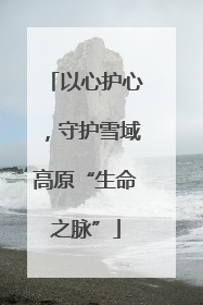 以心护心，守护雪域高原“生命之脉”