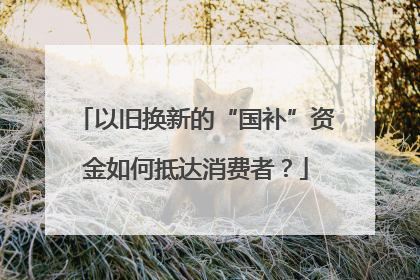 以旧换新的“国补”资金如何抵达消费者？