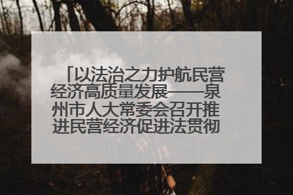 以法治之力护航民营经济高质量发展——泉州市人大常委会召开推进民营经济促进法贯彻实施座谈会