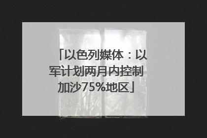 以色列媒体：以军计划两月内控制加沙75%地区