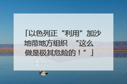 以色列正“利用”加沙地带地方组织  “这么做是极其危险的！”