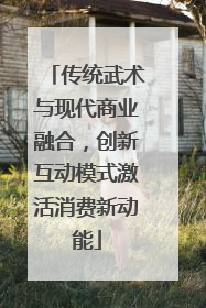传统武术与现代商业融合，创新互动模式激活消费新动能