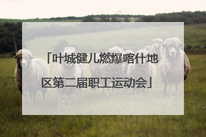 叶城健儿燃爆喀什地区第二届职工运动会