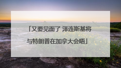 又要见面了 泽连斯基将与特朗普在加拿大会晤