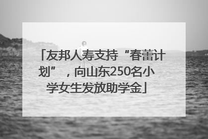 友邦人寿支持“春蕾计划”，向山东250名小学女生发放助学金