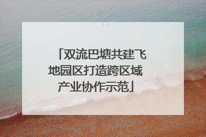 双流巴塘共建飞地园区打造跨区域产业协作示范