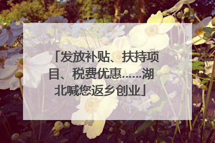 发放补贴、扶持项目、税费优惠……湖北喊您返乡创业