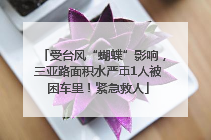 受台风“蝴蝶”影响，三亚路面积水严重1人被困车里！紧急救人